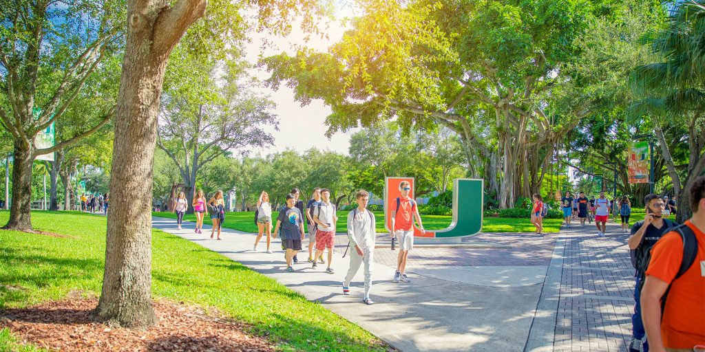 University de Miami